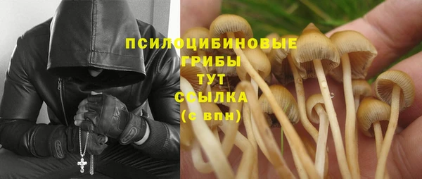 тгк Алексеевка
