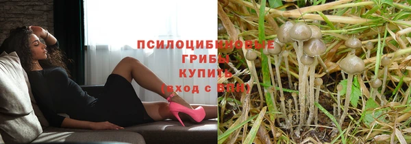 метамфетамин Алексин