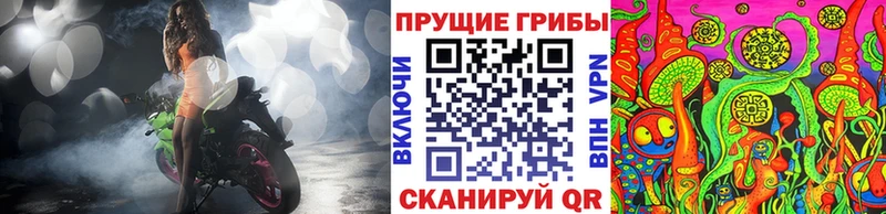 mega зеркало  Артём  Псилоцибиновые грибы мухоморы  закладка 